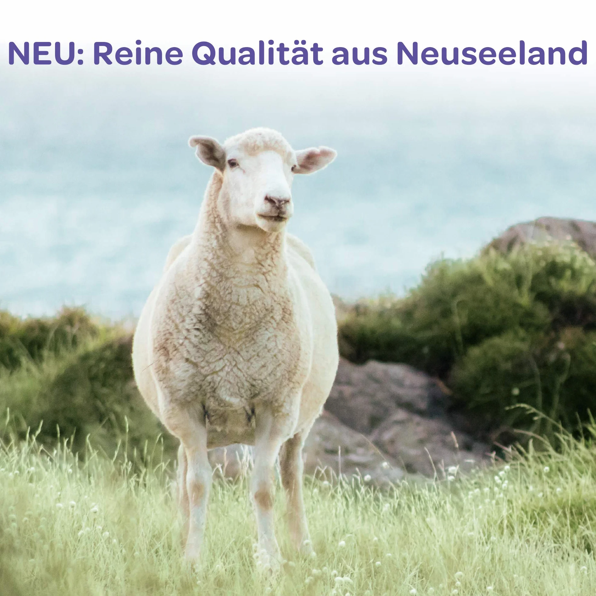 LANSINOH HPA Lanolin Brustwarzensalbe, 40 ml Unguento