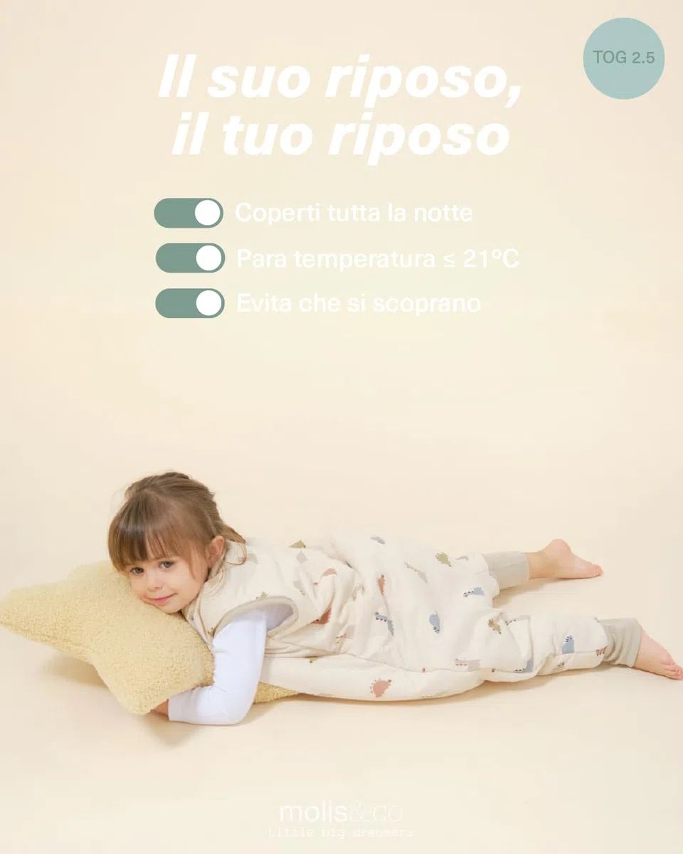 molis&co - Sacco Nanna con Piedini - Sacco Nanna Invernale per Bambini - Sacchi Nanna 2.5 tog con Piedini - 100% Cotone (Oeko-Tex 100) - Dinos (1 Anno)