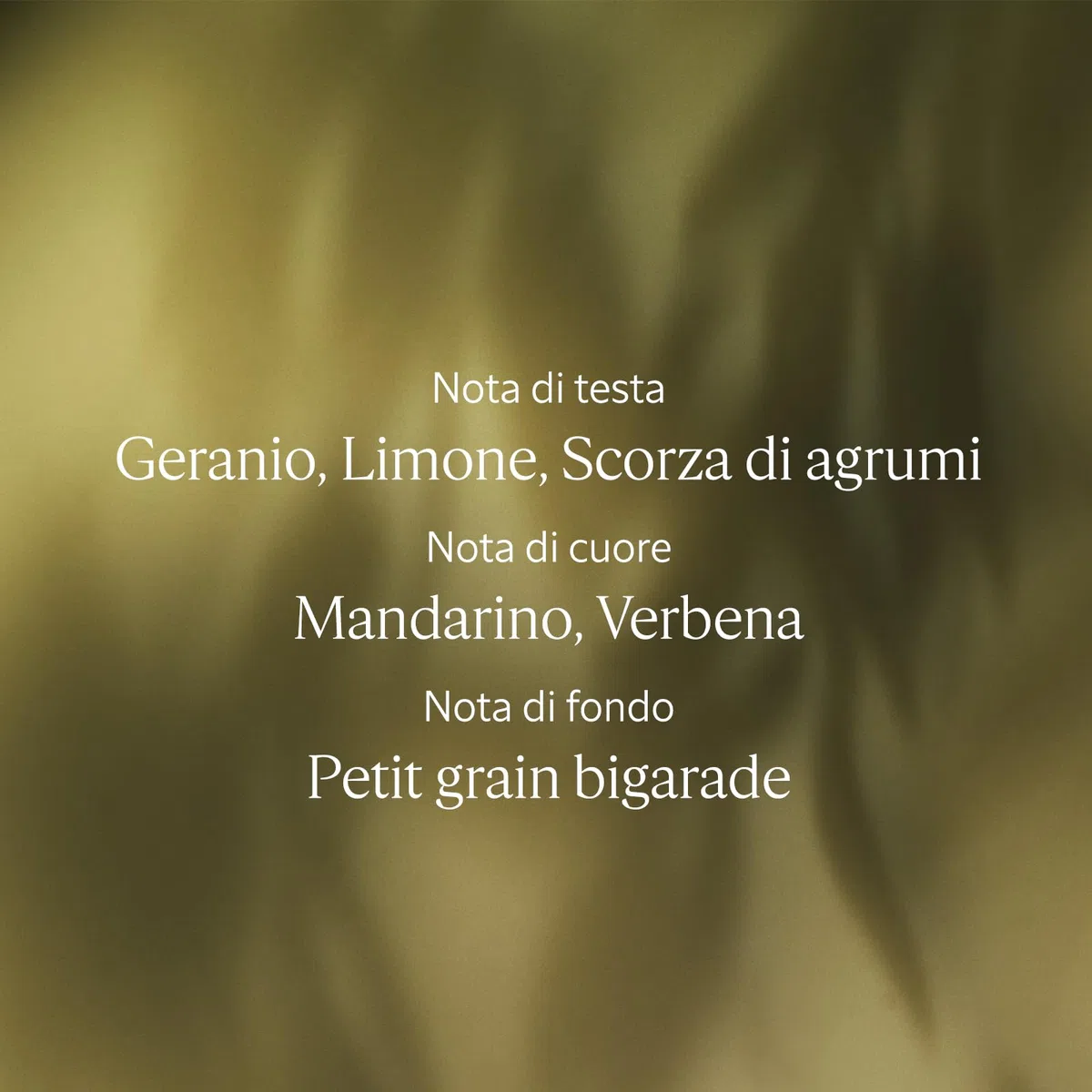 L'OCCITANE - Ricarica Gel Doccia Verveine (Verbena) - 500 ml - Note agrumate e rinfrescanti - Prodotto in Francia