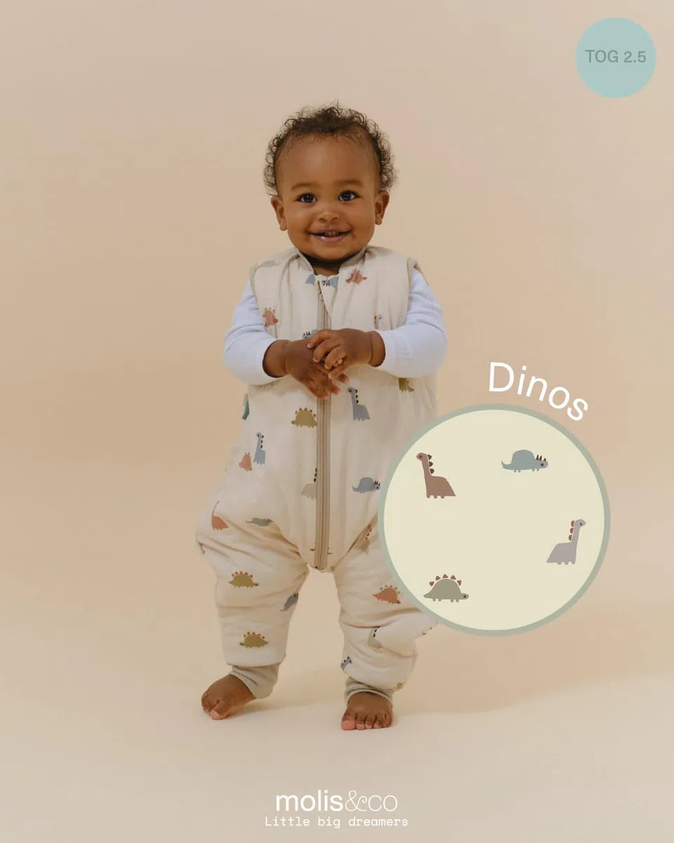molis&co - Sacco Nanna con Piedini - Sacco Nanna Invernale per Bambini - Sacchi Nanna 2.5 tog con Piedini - 100% Cotone (Oeko-Tex 100) - Dinos (1 Anno)