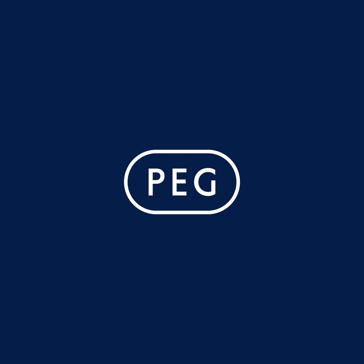 PEG Booster Cushion - Cuscino Imbottito Double Face - Compatibile con i Seggioloni e Passeggini di Peg