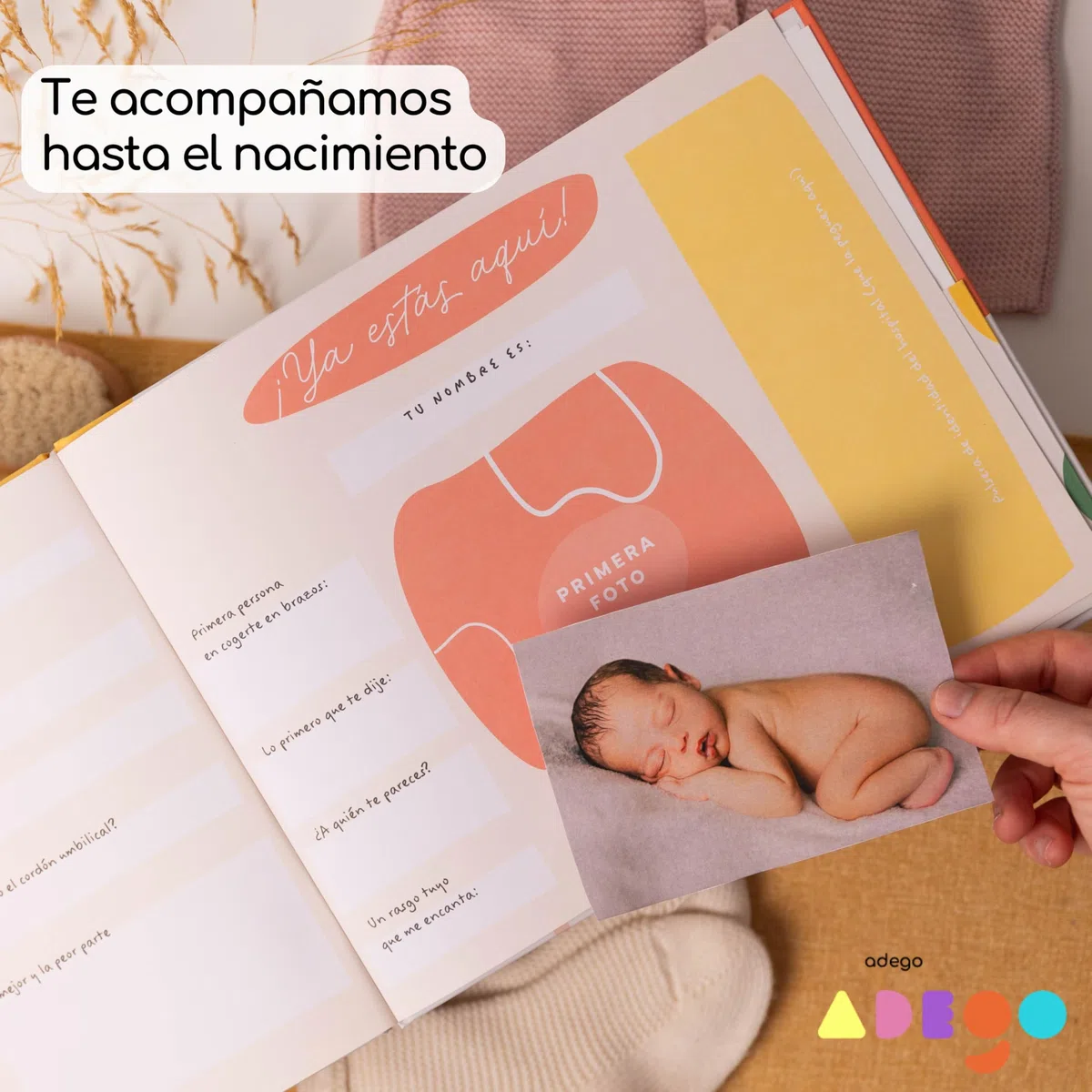 Diario e Albumm di gravidanza 9 mesi - Il mio diario di gravidanza, la nostra storia - regalo per future mamme - libro di gravidanza per salvare foto e ricordi - include pagine con adesivi