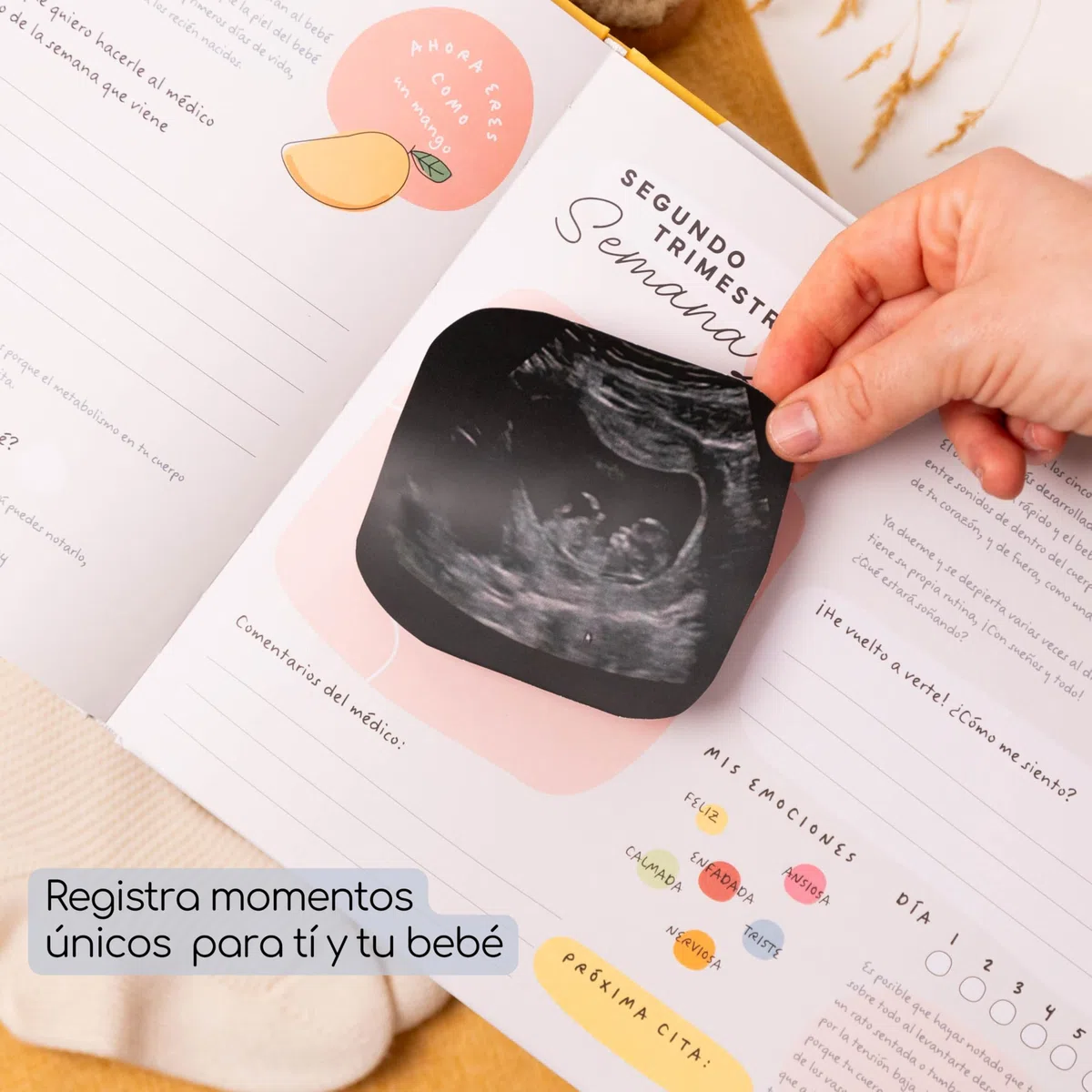 Diario e Albumm di gravidanza 9 mesi - Il mio diario di gravidanza, la nostra storia - regalo per future mamme - libro di gravidanza per salvare foto e ricordi - include pagine con adesivi