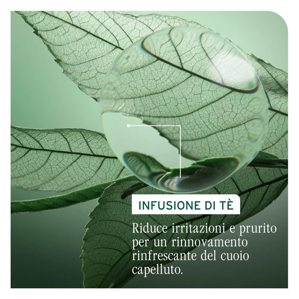Biolage Shampoo Riequilibrante per Cute Grassa, Adatto a Tutti i Tipi di Capelli, Arricchito con Tè Fermentato e Acido Glicolico, Clarifying Shampoo, Scalp Sync